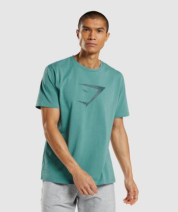 T Shirts Gymshark Sharkhead Infill Hombre Turquesa | CO 3419MQZ